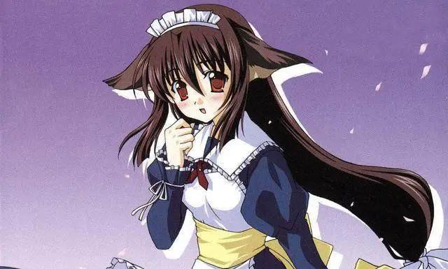 盘点动漫中那些萌萌的猫妖娘！