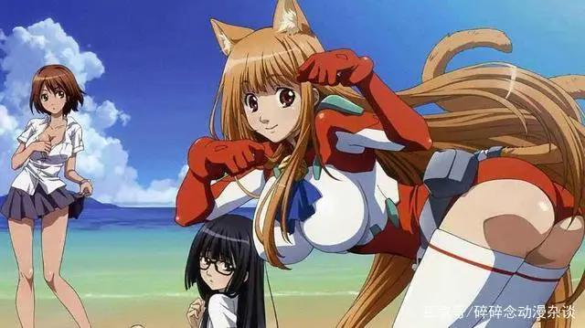 萌即正义！美少女动画新体验——补番推荐：《玩伴猫耳娘》