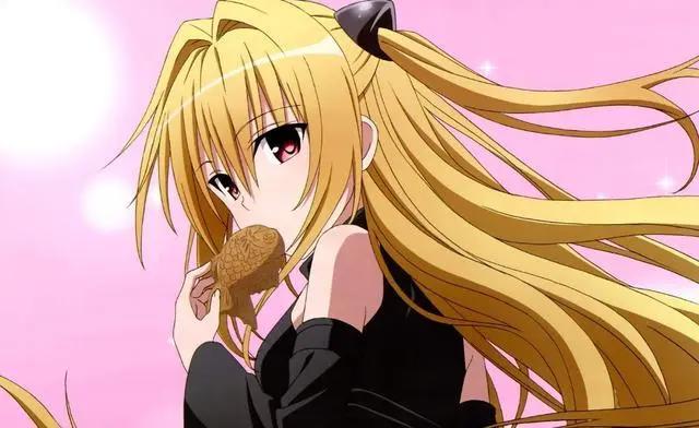 10年前的老司机们都看啥后宫动漫？比现在高了不止一点半点