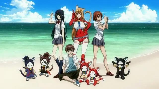 猫耳娘入住我家！这些动漫的男主还嫌麻烦，网友：这猫放着我来！