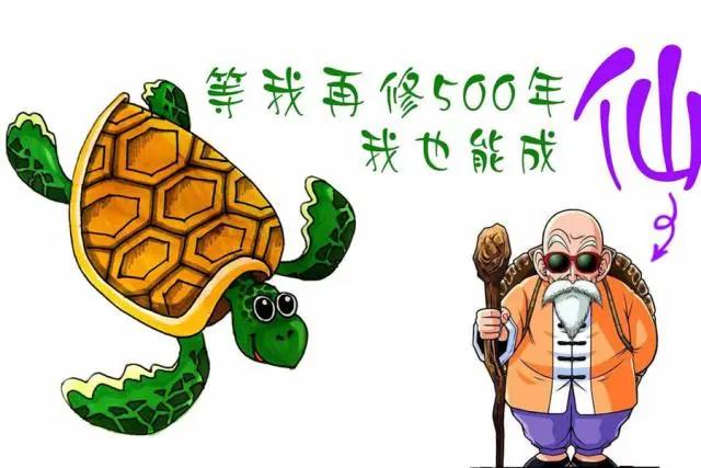 动漫中经典乌龟形象的原型是什么，你知道吗？