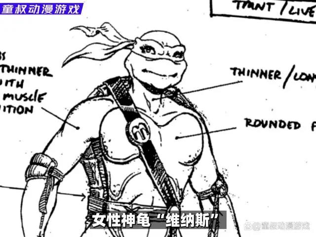 动漫揭秘1：忍者神龟：起源