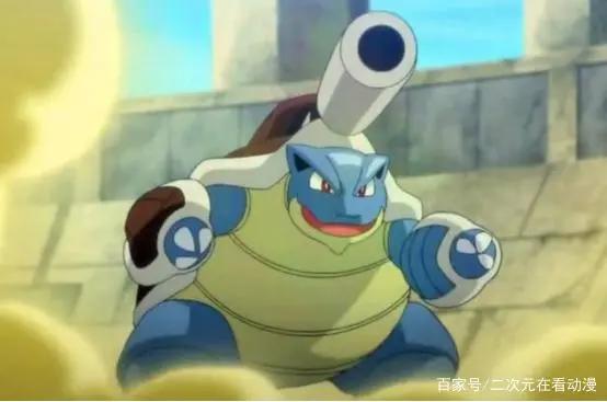 日本有水箭龟，美国有忍者神龟，中国有什么龟？知道人并不多