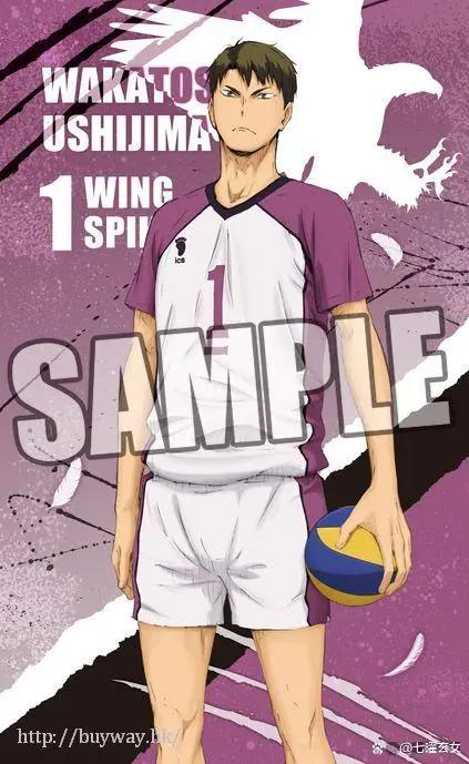 动画介绍-《排球少年！》