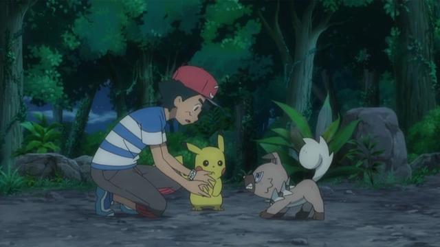 精灵宝可梦：继忍蛙后又一特例，稀有程度超越所有宝可梦？