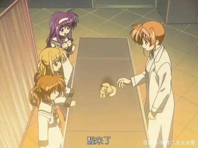 2004年10月新番动画，《魔法少女奈叶》的分镜和演出其实很优秀