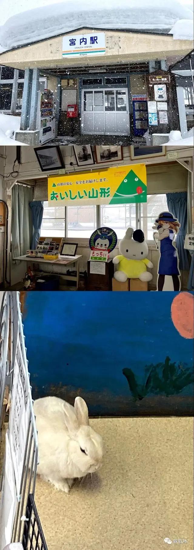 「软游记」你不了解的日本山形县！美景美食打破次元壁之旅