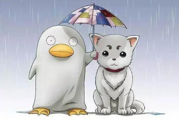 《银魂》真人版来了，在神作完结后，这应该是《银魂》的最后了