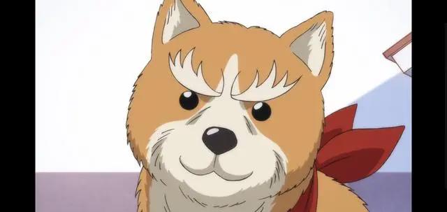 关于战国霸王织田信长的有趣番剧，你看过几部？