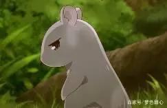 温情治愈系动漫《水果篮子2019》真值得去看一看！