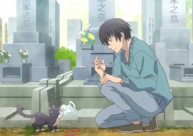 治愈系动漫《同居人是猫》来自冬日里的一丝温暖，这份猫粮我吃！