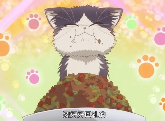 治愈系动漫《同居人是猫》来自冬日里的一丝温暖，这份猫粮我吃！