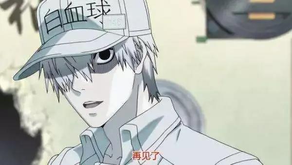 二次元没有不可能！细数那些事物拟人的动漫（下）