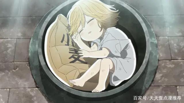 乌冬面之国的金色毛球：具有超能力的狸猫与人相处的日常治愈番