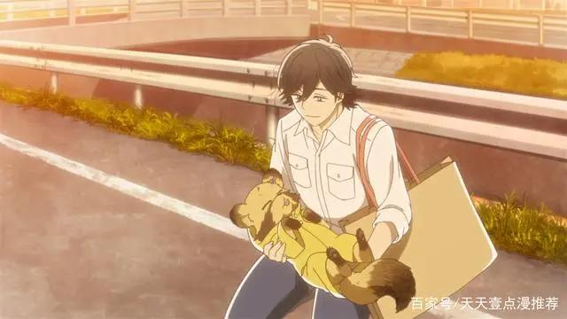 乌冬面之国的金色毛球：具有超能力的狸猫与人相处的日常治愈番