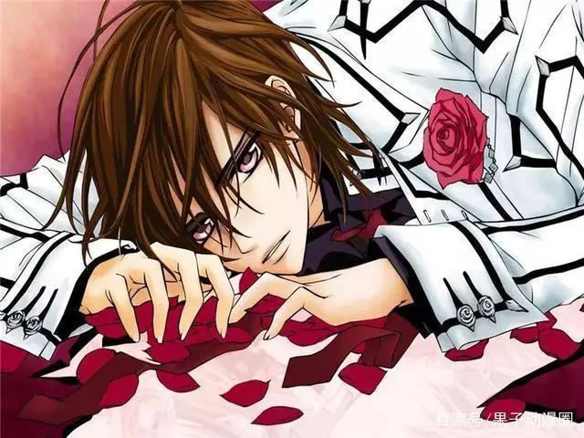 有关吸血鬼的动漫，第一部超经典，最后一部只适合成年人