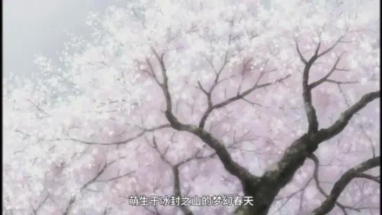 错过这些冷门番，你的人生该不完整了