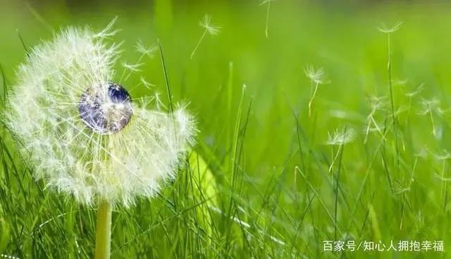 扬眉吐气！日漫能做到的，张艺谋和国漫都做到了