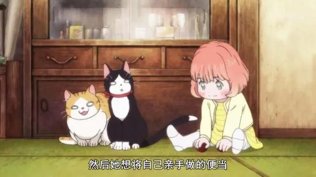 哪部动漫是你心中永不褪色的经典之作？