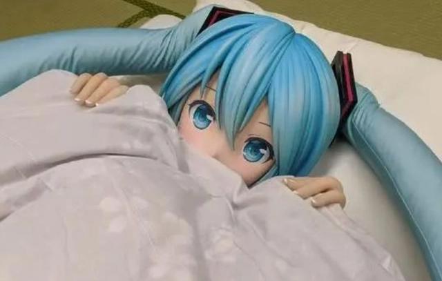 不顾一切将初音未来娶回家的男子，看到现状，网友纷纷表示：酸了