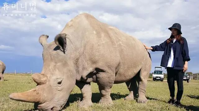 整整54部，你确定五一还要出门吗？