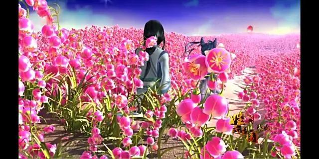 《锦绣神州之姓氏王国》风羲