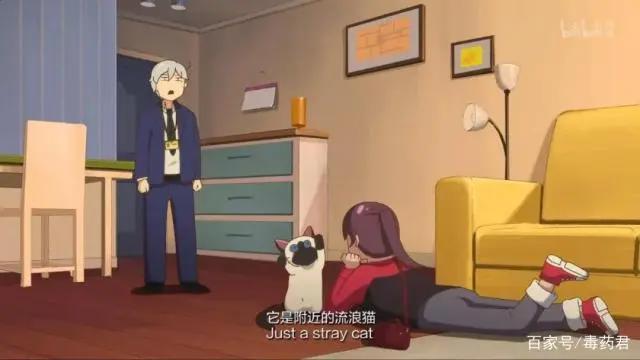 让我笑喷饭的沙雕国漫，不火没天理