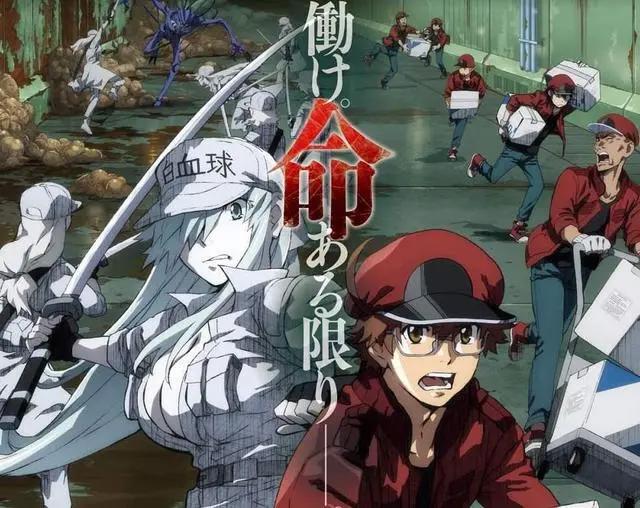 2021年1月新番“神仙打架”，各种好番将出续作，你最期待哪一部？