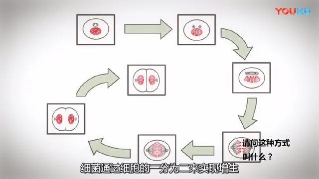 这动漫疯狂吐槽考试题目，说出了多少学生的心声！