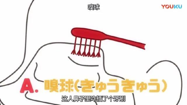 这动漫疯狂吐槽考试题目，说出了多少学生的心声！