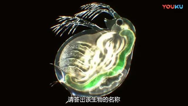 这动漫疯狂吐槽考试题目，说出了多少学生的心声！