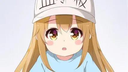 一月新番续作都有啥？如果这些作品之前没看，记得赶快去补