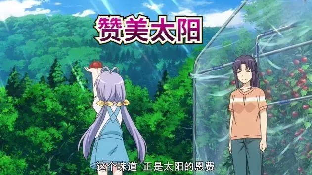 悠哉4：莲姐尊严之战，警察竟是你爸爸，喵帕斯夏日化身圣诞老人