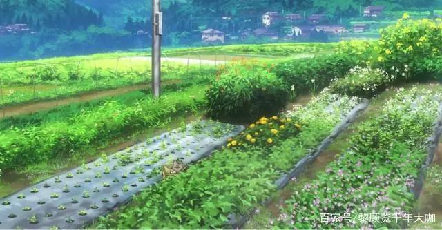 《悠哉日常大王》漫评：属于我们的悠然的生活