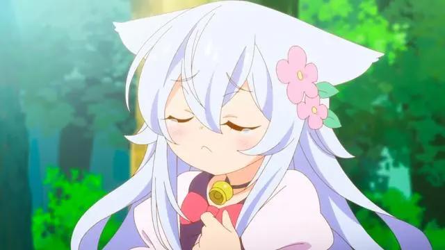 男主拥有开挂能力，还有兽耳娘，动漫开播男主却被路人角色嘲讽了