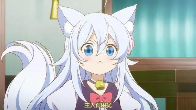 萌萌白毛萝莉有谁不爱呢？新番《开挂药师的奇幻世界悠闲生活》