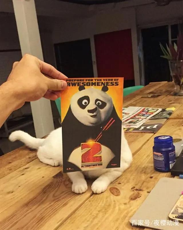 爆笑动漫：铲屎官与主子的日常，拿海报错位拍摄，有大片的既视感