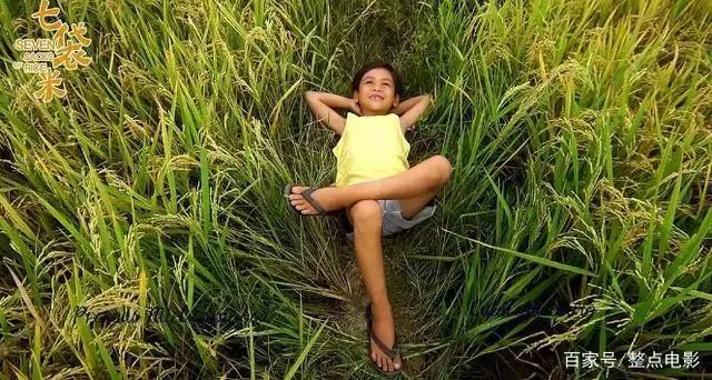 八月片单，必有三部会爆！