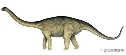 失落的世界——变形金刚里的侏罗纪公园