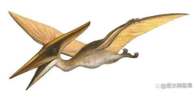 失落的世界——变形金刚里的侏罗纪公园