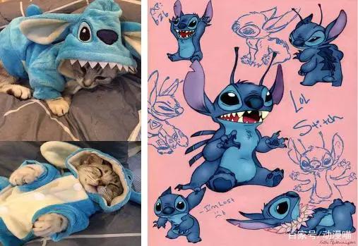 盘点那些年追过的经典的欧美动漫，你都看到大结局了吗？