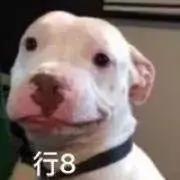 新版《海尔兄弟》将上线，穿上衣服的海尔兄弟你还认识吗？｜新京报快评