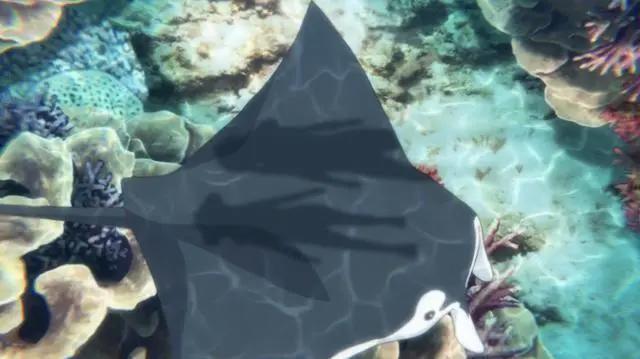 喵帕斯回来了！悠哉日常大王剧场版登录B站，冲绳之旅收获友谊