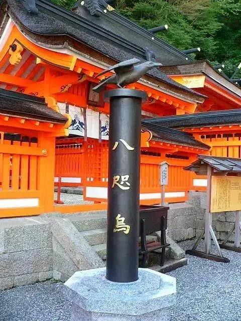 这种远古神兽究竟有多野，直接带你遨游宇宙眩晕上头