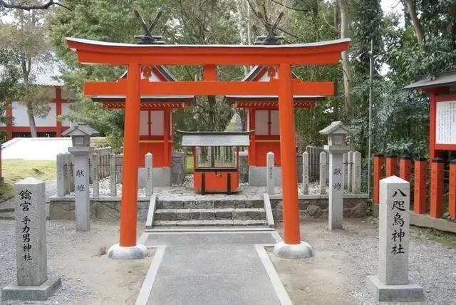 这种远古神兽究竟有多野，直接带你遨游宇宙眩晕上头