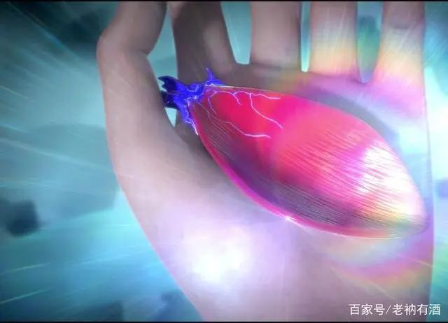 《斗破苍穹》第二季完结，期待已久的美杜莎女王竟然没有露面！