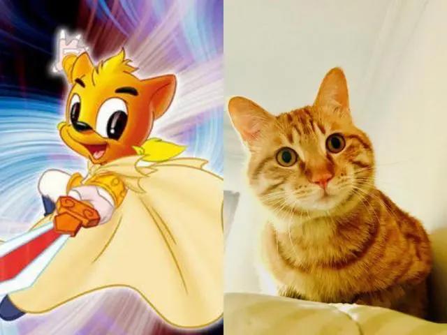“经典动画”里的8种猫咪，你都猜对了吗？