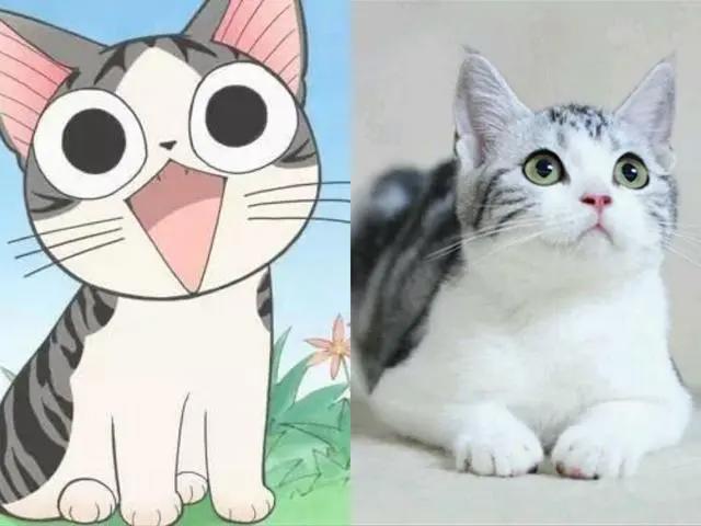 “经典动画”里的8种猫咪，你都猜对了吗？