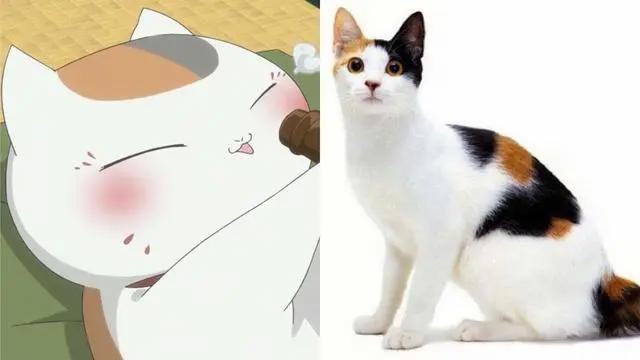 “经典动画”里的8种猫咪，你都猜对了吗？