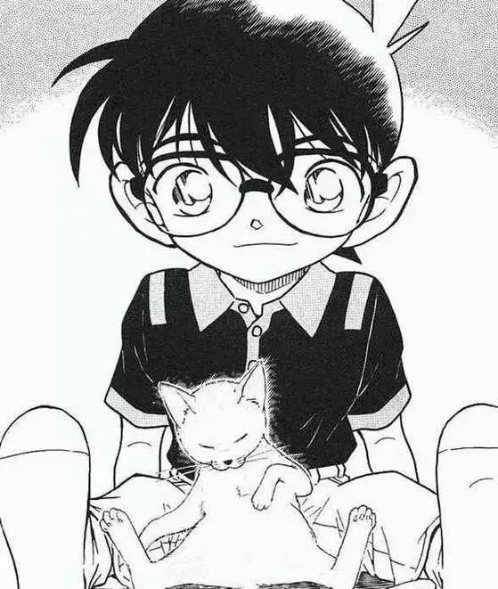 为什么他们不看名侦探柯南了